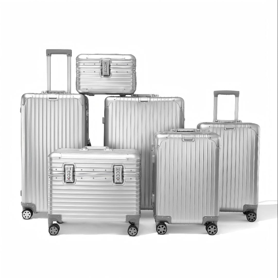 Lyvoi Horizon Aluminum Suitcase